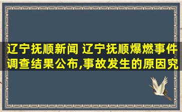 辽宁抚顺新闻 辽宁抚顺爆燃*调查结果公布,事故发生的原因究竟是什么